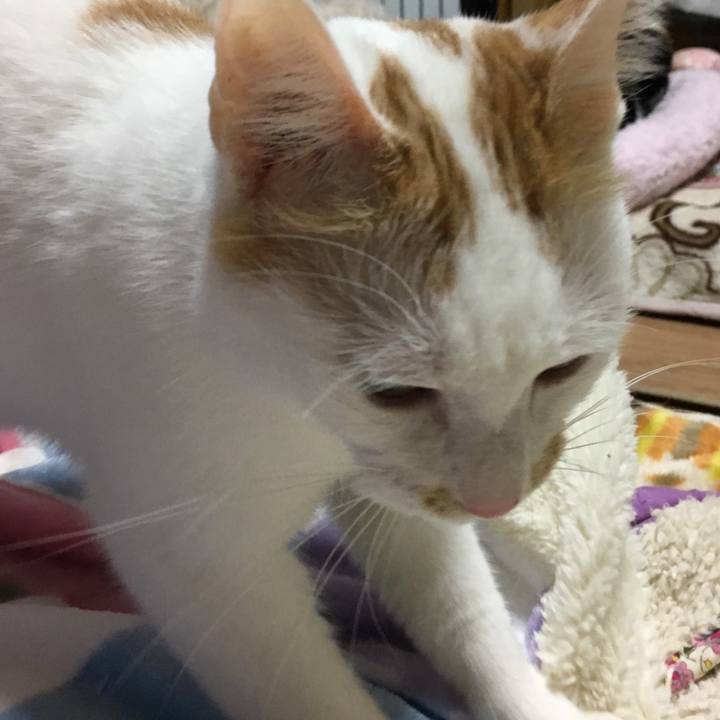 F1b83898 84b5 40a4 a8b2 003395c8a267