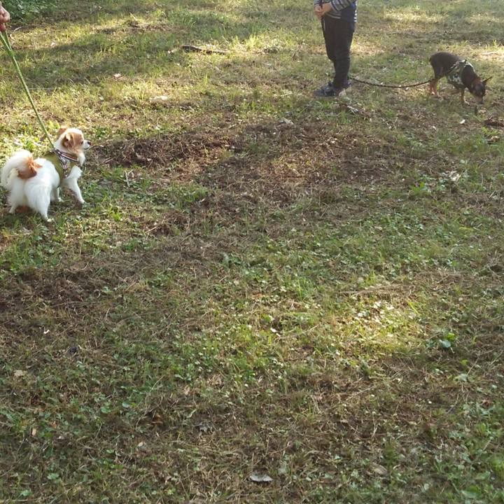 F1b85aa4 fd87 47d4 b904 d09390d32f66