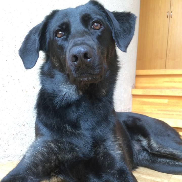 F1b8bdd8 54ae 4024 9f66 18b433709ef3