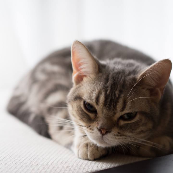 F1b8c98a 8546 4ca9 b645 e5391872be2a