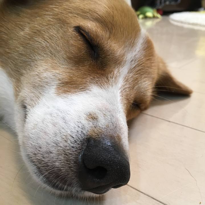 F1b9237b 2cdd 4952 b787 9a1acf4252a8