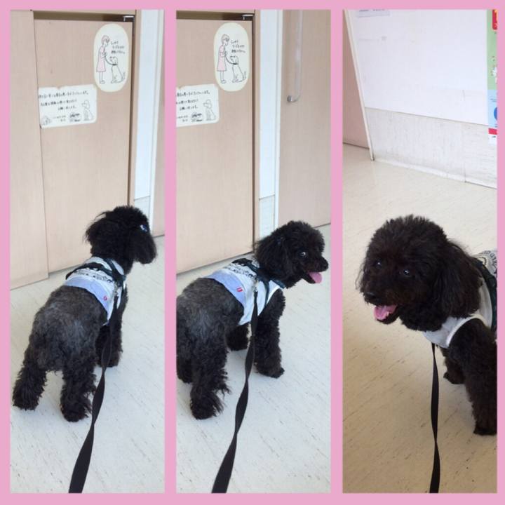 F1b94aa2 2429 4453 b403 fcc662aceee8