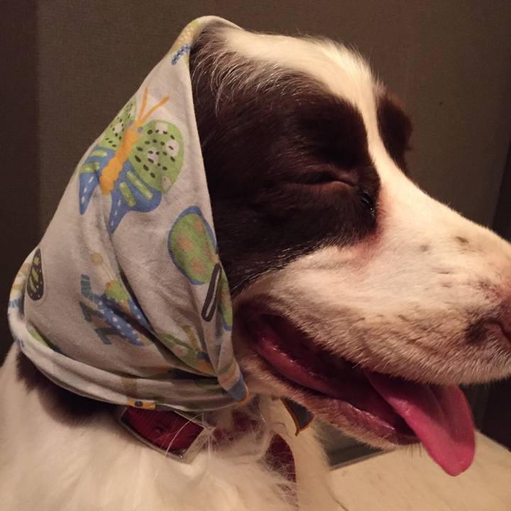 F1b9dca6 9f68 42c2 8536 a945ec8c4ebf