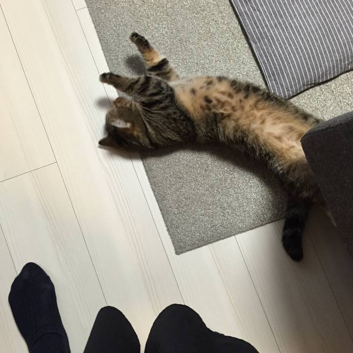 F1ba33c1 160e 4ddb bb92 ff724bf4ecf7