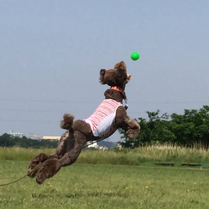 F1bb0b1b 0982 40ea b44c 0d669327b1fb