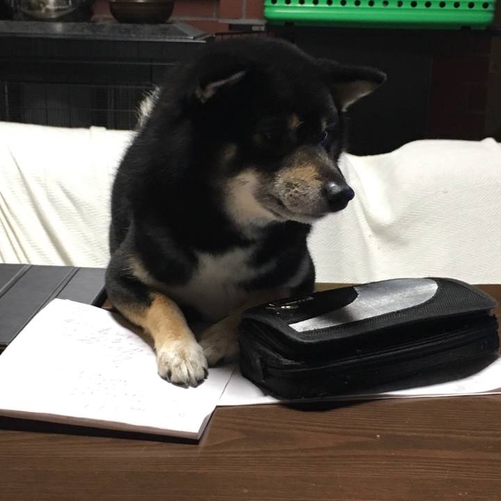 F1bc64bc 9685 405e 84ff 5da93929fffb