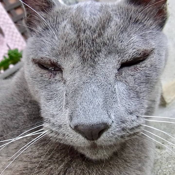 F1bcce3a 6de8 458b 92e4 c427d6e34c73