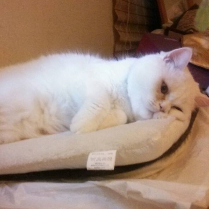 F1bd10ef 9254 4e40 bffa e4d0ecd84663