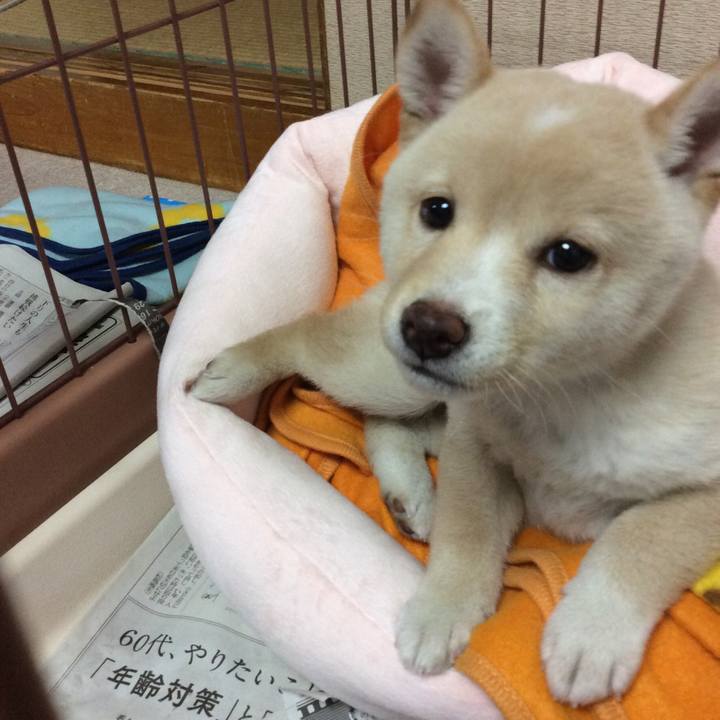 F1bd5f58 f82e 46b1 8d34 6d3b0b2de967