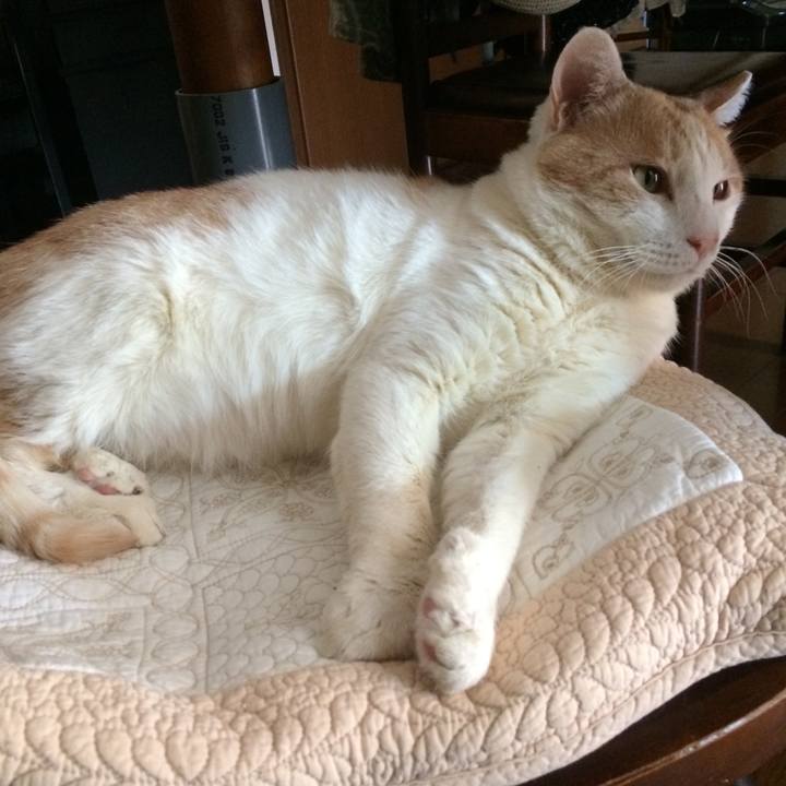 F1bdbcbd 64ea 430f a8d0 f7743e3799c6