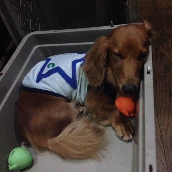 F1bf539f c5b0 4cce ac2a 7fd64fa5bbbf