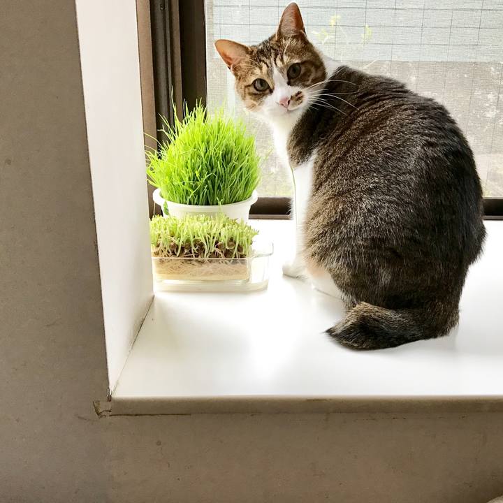 F1bf95e3 8d7d 44b3 9795 3f43d69357a6