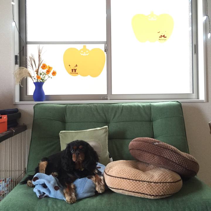 F1bfcab8 114c 4084 ae86 8f468969f401