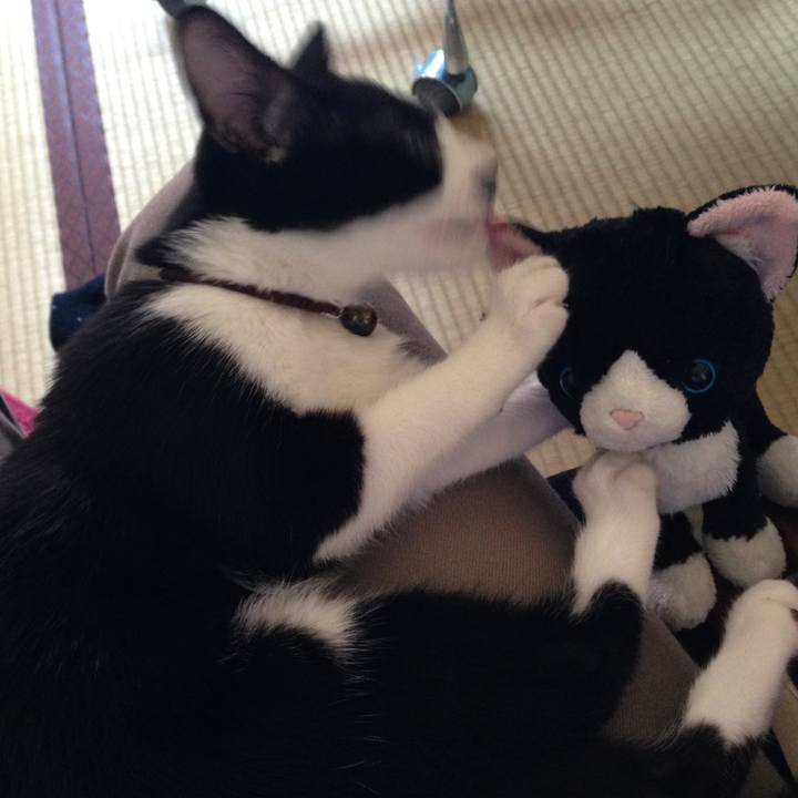 F1c0437f c047 4a78 b240 fd0e9023da2e