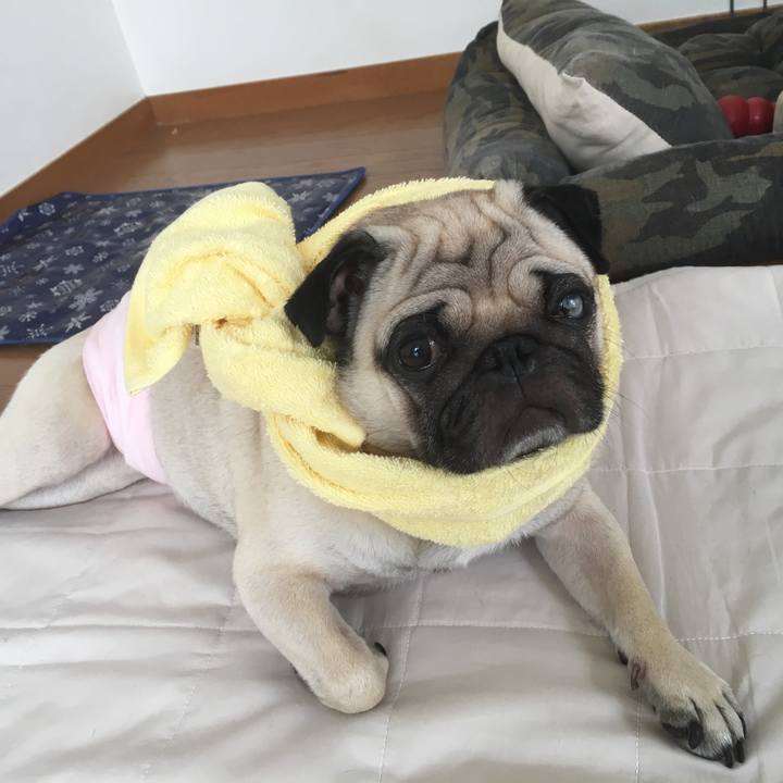 F1c06214 5f78 4482 9ec5 bbf3bf674660