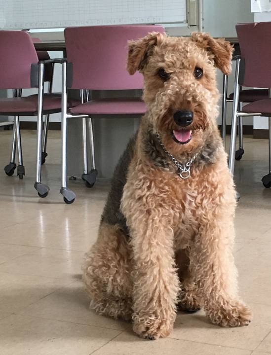 F1c0be23 d615 4e42 b8d3 4afa33d3471c