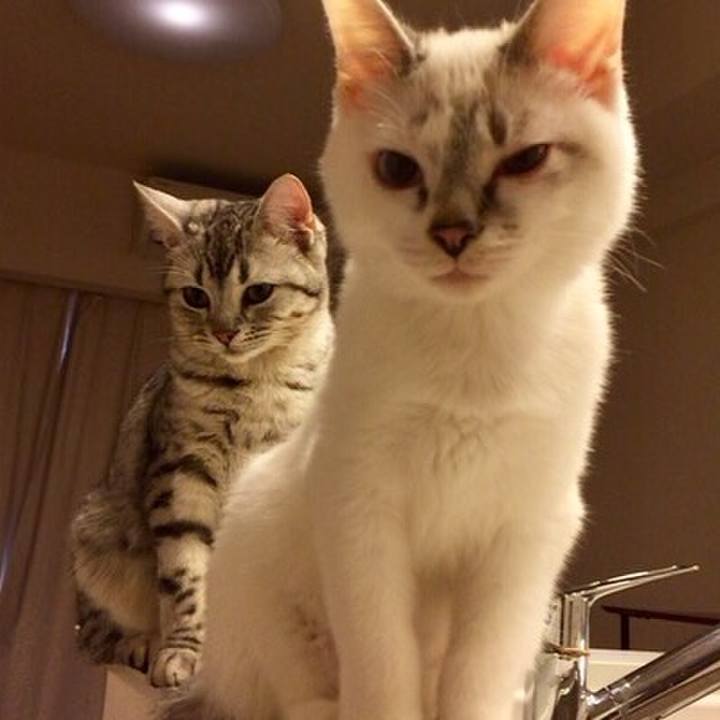 F1c1fa98 dd6e 4d43 bc42 689d075c4113