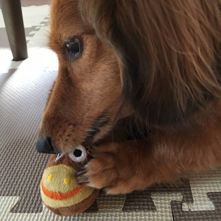 F1c2594e c514 4755 82d9 16bd59ef24de