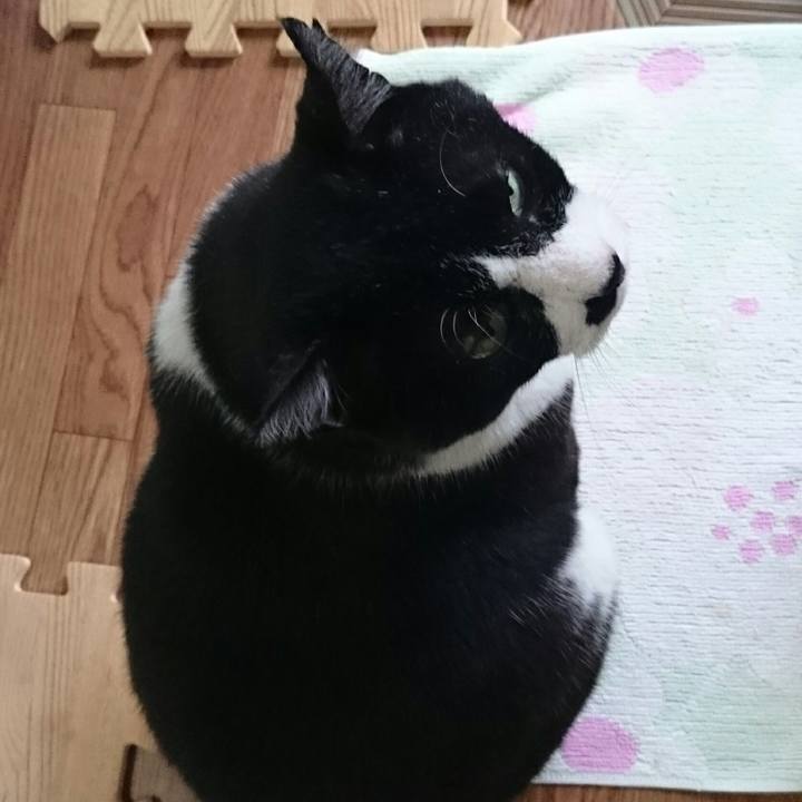 F1c3464b e58d 4a7b bf8d b0ad7af20aae