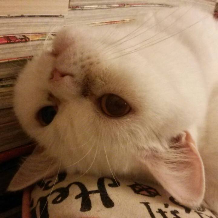 F1c34743 b6e4 4c0d ace7 28df00cb4761