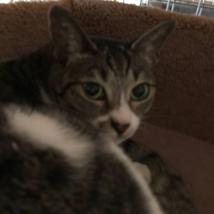 F1c3d3c9 6767 4bb9 83d2 33b3fba44f82