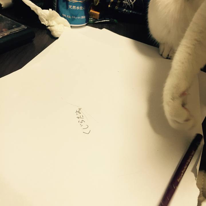 F1c40610 6266 447c 8d97 7d808b3903c9