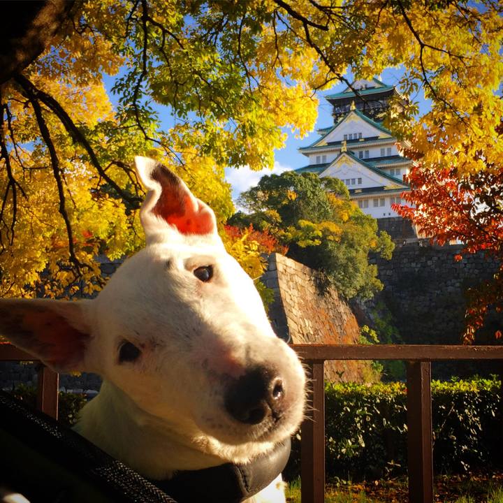 F1c47957 5add 4544 a03e bf2e10b24ddf