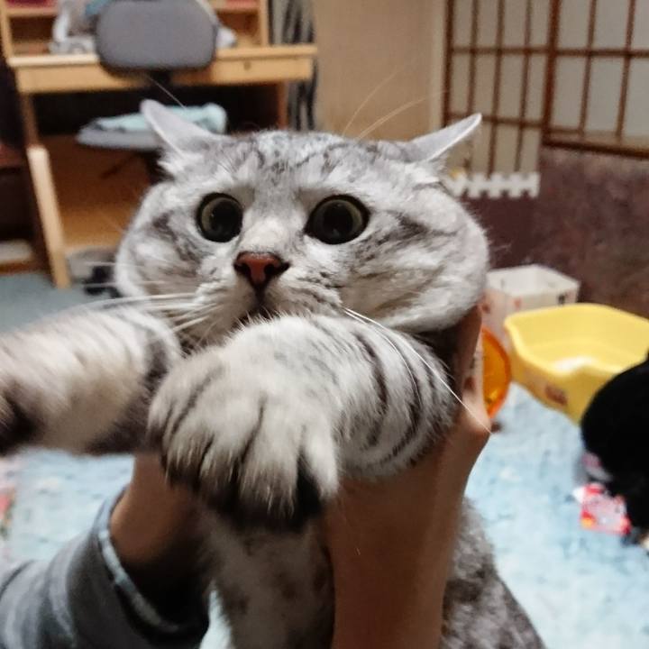 F1c49cad 1f29 4fbc 97ea 9f95bda0dadc