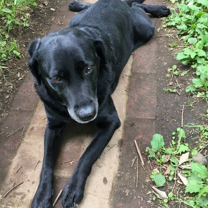 F1c53b89 5ba4 4666 a8b4 e487df11bf69