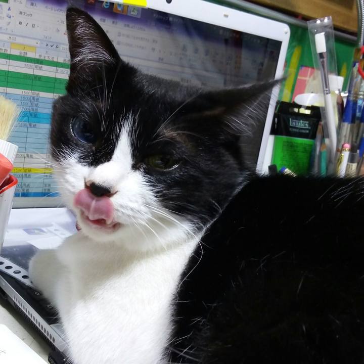 F1c54b38 b01e 42a0 a53c b6582b93f65c