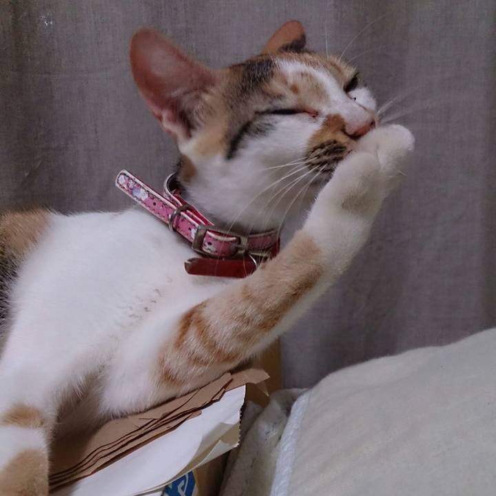 F1c5bc37 9acd 4b27 871f f18964cfb27b