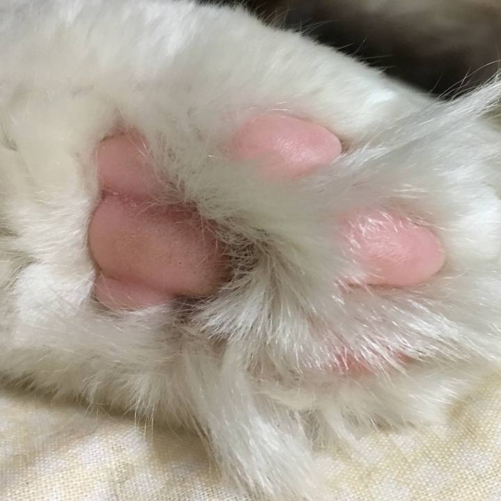 F1c5cb81 a66d 4d18 a6f2 fc06993a080a