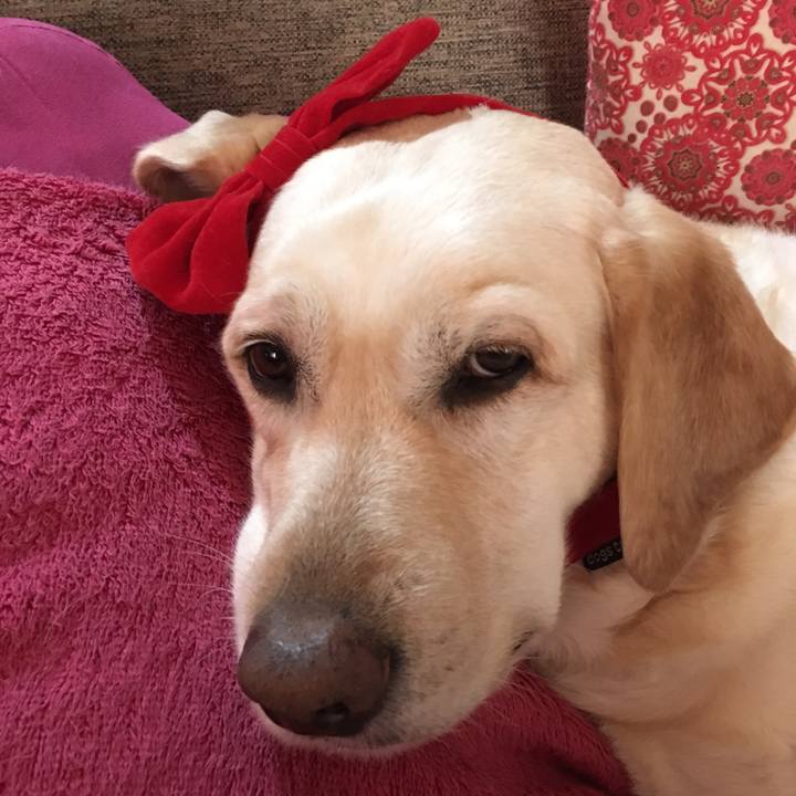 F1c5d939 9c53 45fb 9fa4 c2f289b56e91