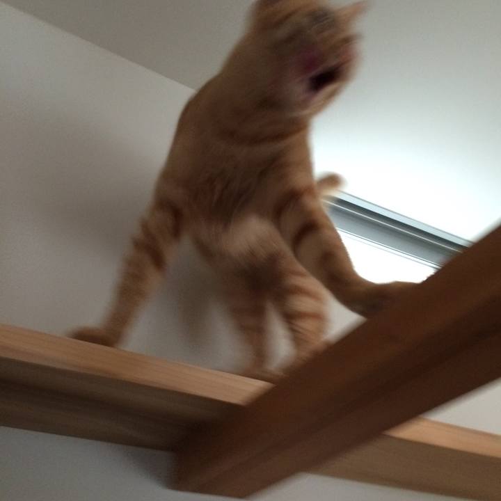 F1c65bd6 c229 4cc0 aff4 037dd7b3be61