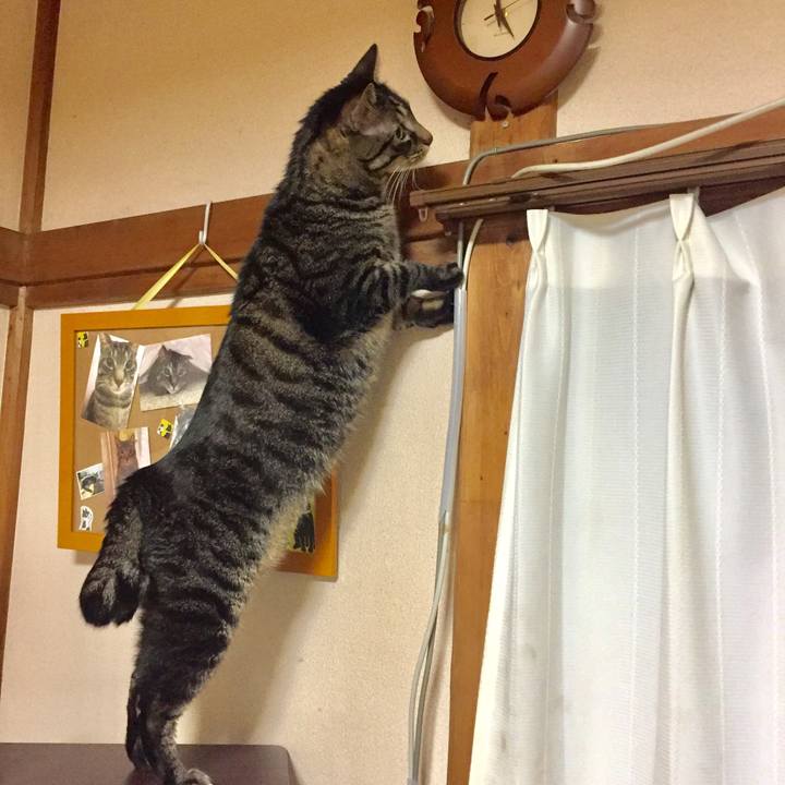 F1c74685 b31c 41c7 85e0 b248fc31b0a1