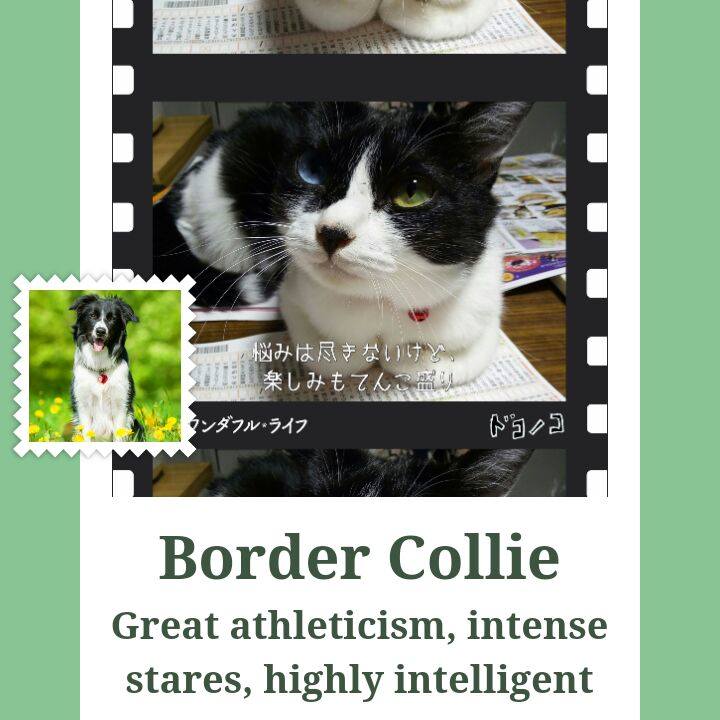 F1c7556d 8f04 4c98 aa36 53390652bea0