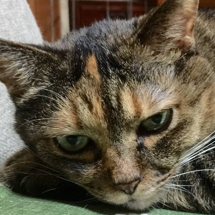 F1c7f6d3 93ac 4540 895a 1698c3624f4b