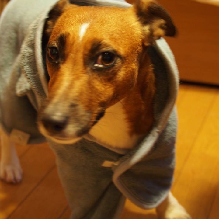 F1c81777 baab 4236 8f6d 134cee11f07f