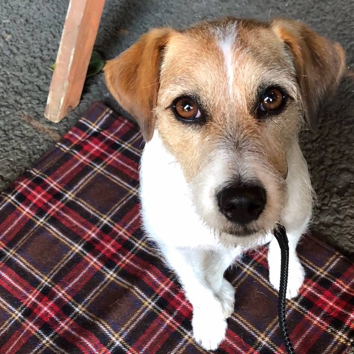 F1c84a0e 9a7b 4ada b79b e497b7541c94