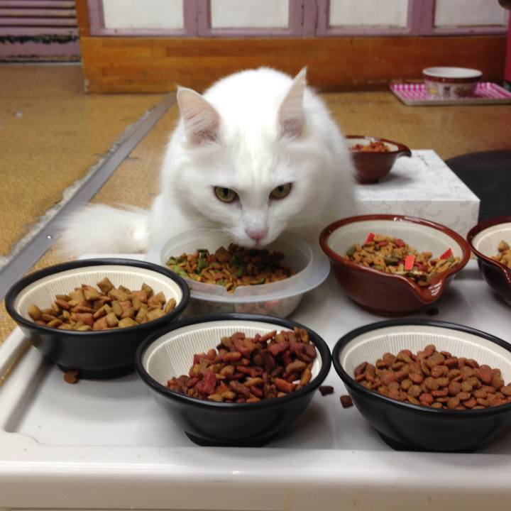 F1c89ced 9bee 4046 99bf 3f3f67e4d1f2