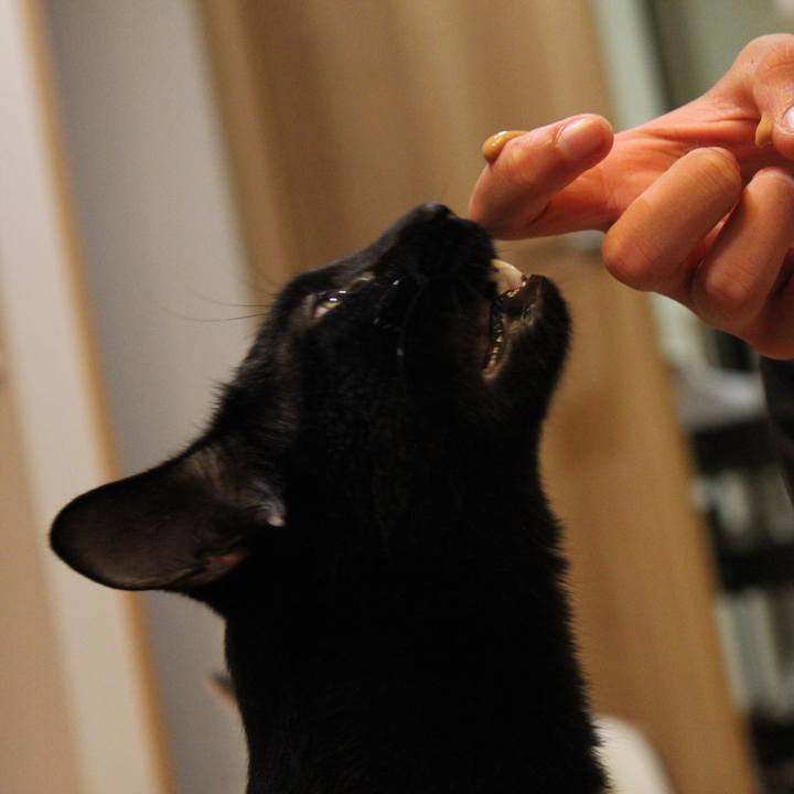 F1c92771 5bdd 4992 bfe1 12d333f570c9