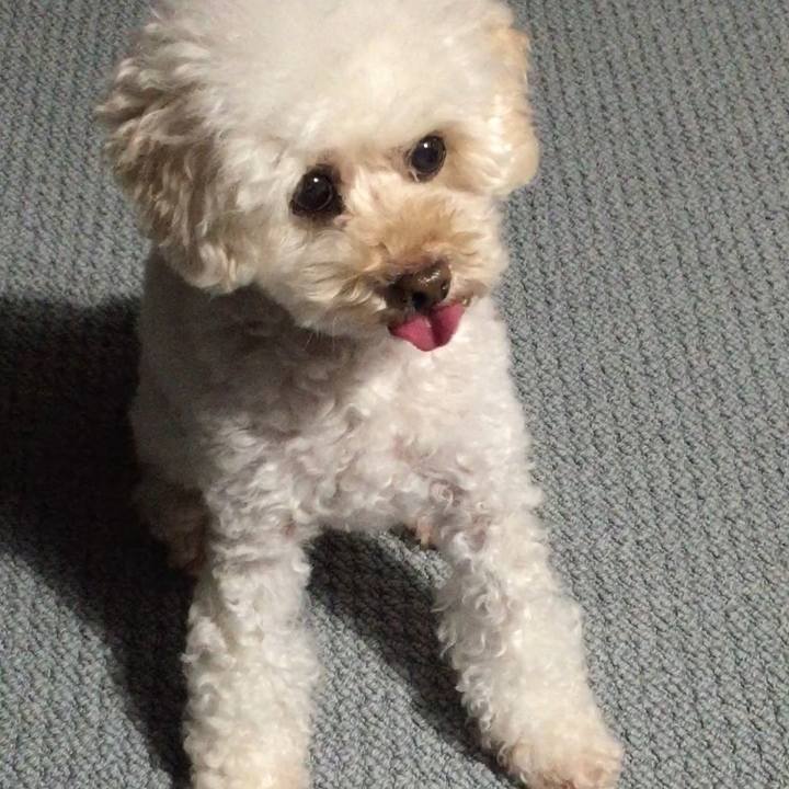 F1c9b0e9 418d 4708 aa86 794df3234132