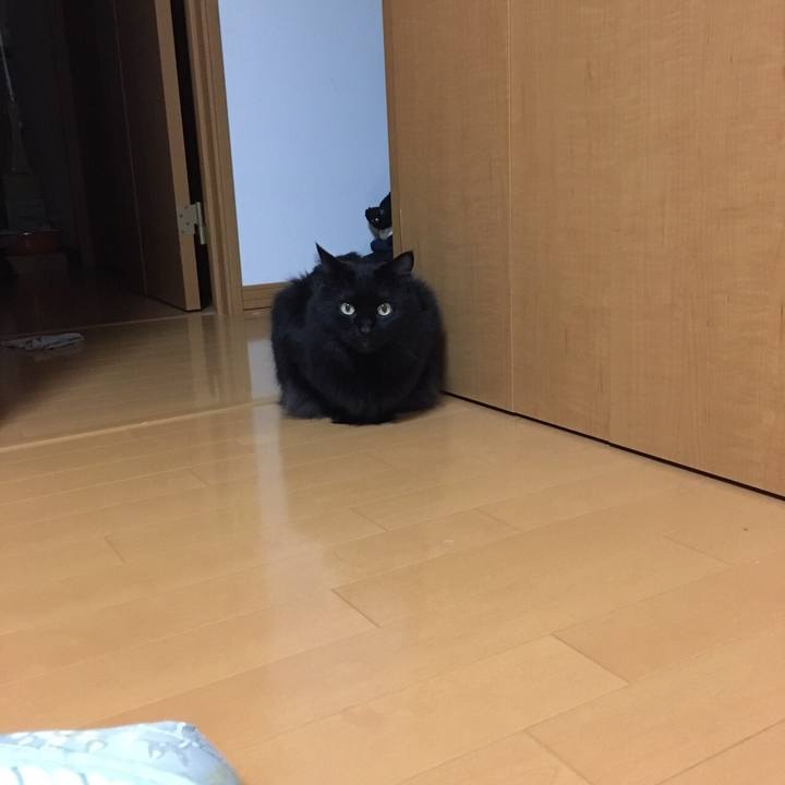 F1c9c739 9320 4be0 99d5 766d3807dc78