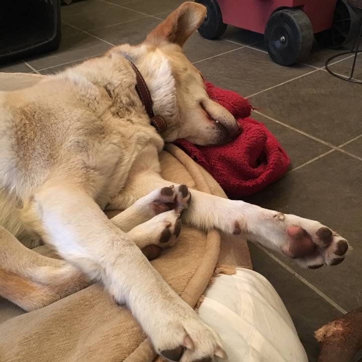 F1ca683b 6432 47c9 9b60 7b71e34e05bc