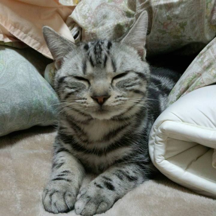 F1cb9828 89c7 4ed0 88af c1afe117db74