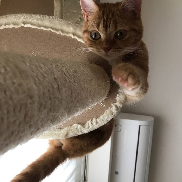 F1cbf8fc c914 42b5 9831 6642b5ac82db