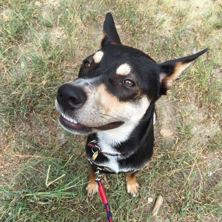 F1cc01e0 24f6 4d9a b7d5 031cfd9c72cd