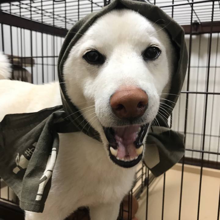 F1cc0e56 01f8 49ba 8f19 09c42a40aa65