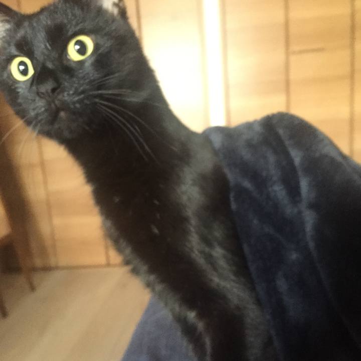 F1cc8471 87cf 41d6 80ec 0006908447d2