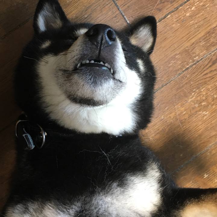 F1cd145a 4903 4698 bfee 019e8881120c